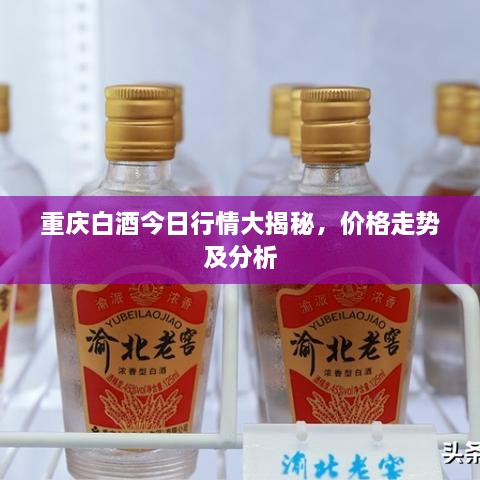 重庆白酒今日行情大揭秘，价格走势及分析