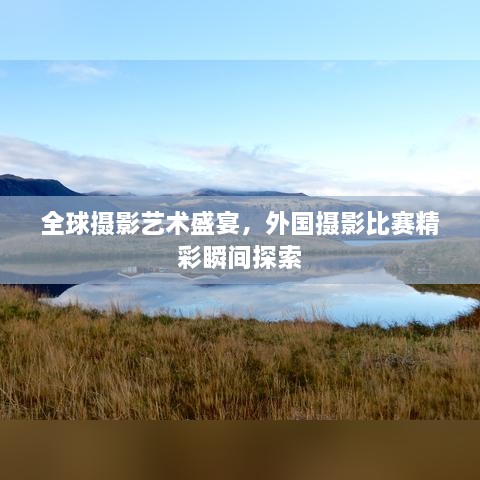 全球摄影艺术盛宴，外国摄影比赛精彩瞬间探索