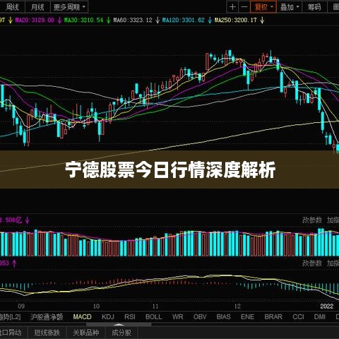 宁德股票今日行情深度解析