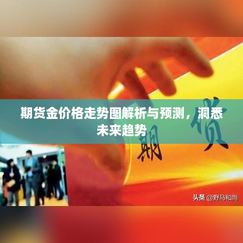 期货金价格走势图解析与预测，洞悉未来趋势