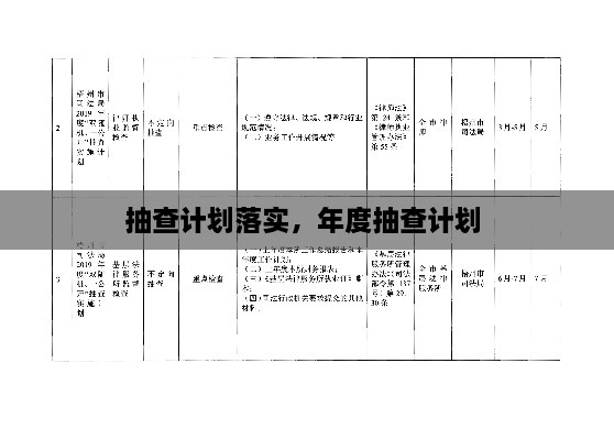 抽查计划落实，年度抽查计划 