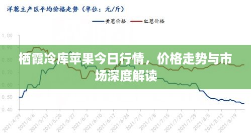 栖霞冷库苹果今日行情，价格走势与市场深度解读