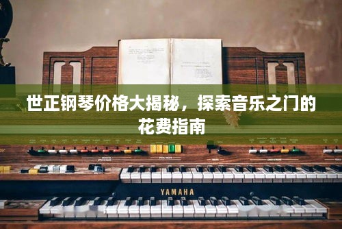 世正钢琴价格大揭秘，探索音乐之门的花费指南