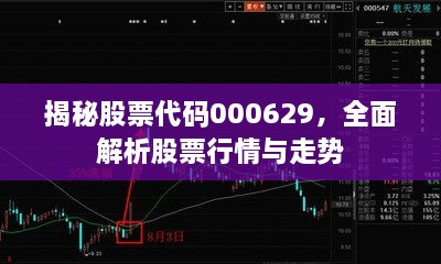 揭秘股票代码000629，全面解析股票行情与走势