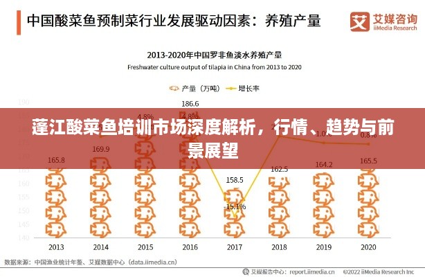 蓬江酸菜鱼培训市场深度解析，行情、趋势与前景展望