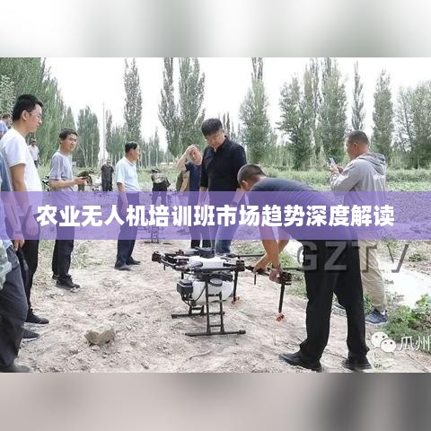 农业无人机培训班市场趋势深度解读