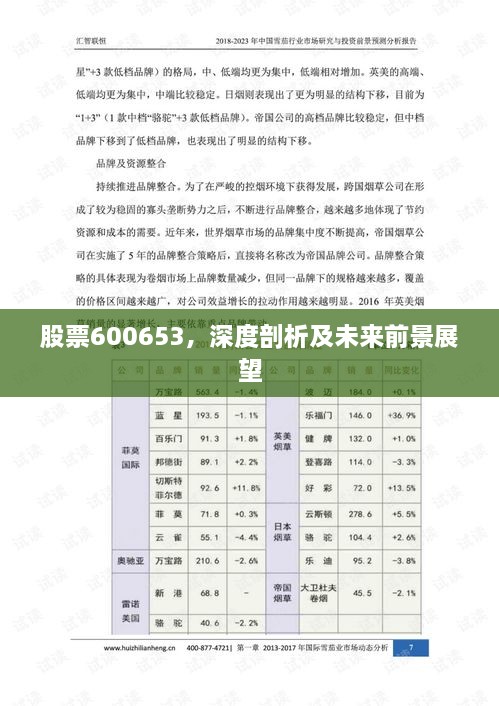 股票600653，深度剖析及未来前景展望