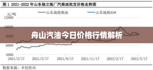 舟山汽油今日价格行情解析