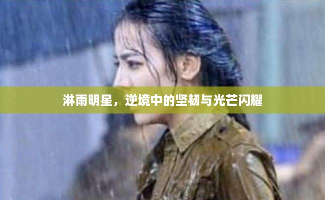 淋雨明星，逆境中的坚韧与光芒闪耀