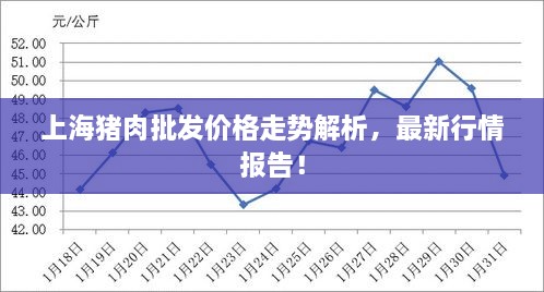 上海猪肉批发价格走势解析，最新行情报告！