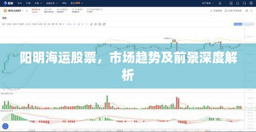 阳明海运股票，市场趋势及前景深度解析