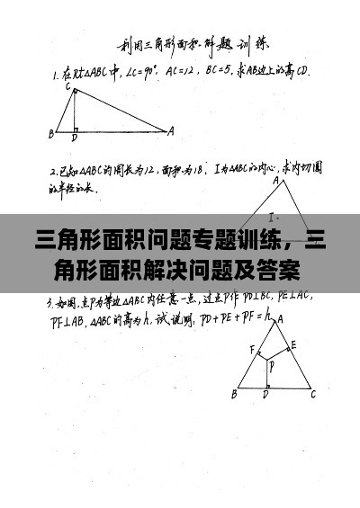 三角形面积问题专题训练，三角形面积解决问题及答案 