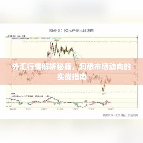 外汇行情解析秘籍，洞悉市场动向的实战指南