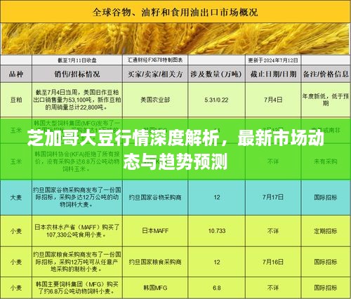 芝加哥大豆行情深度解析，最新市场动态与趋势预测