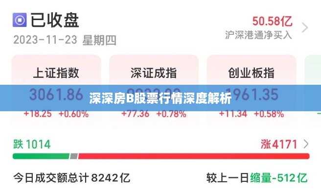 深深房B股票行情深度解析