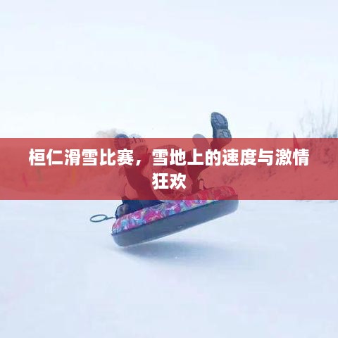 桓仁滑雪比赛，雪地上的速度与激情狂欢