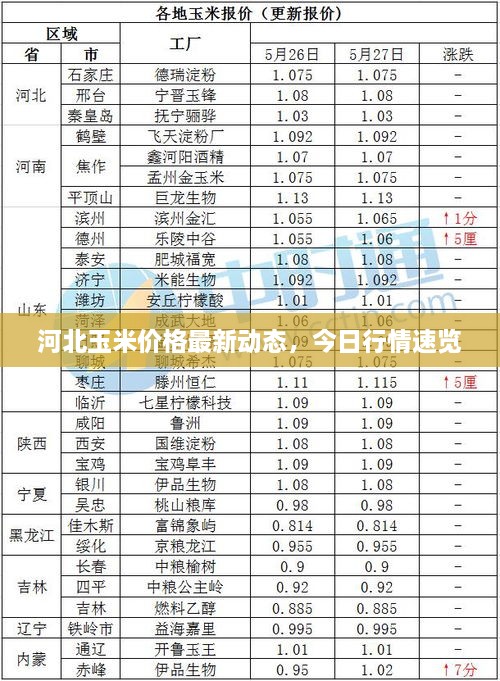 河北玉米价格最新动态，今日行情速览