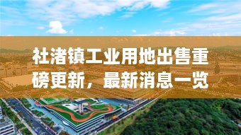 社渚镇工业用地出售重磅更新，最新消息一览无余