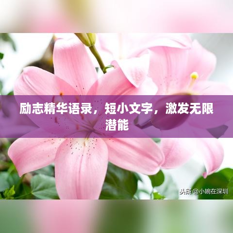 励志精华语录，短小文字，激发无限潜能