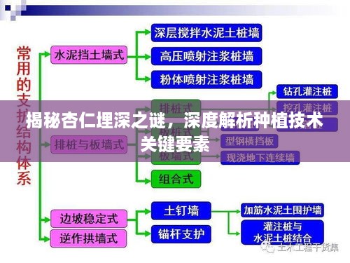 揭秘杏仁埋深之谜，深度解析种植技术关键要素