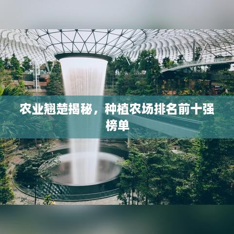 农业翘楚揭秘，种植农场排名前十强榜单