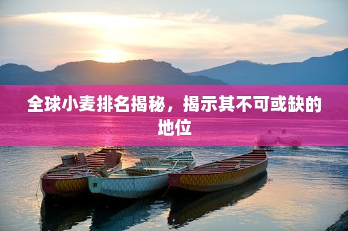 全球小麦排名揭秘，揭示其不可或缺的地位