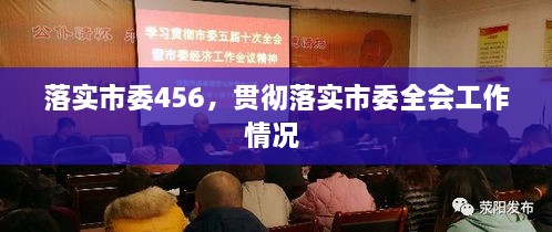 落实市委456，贯彻落实市委全会工作情况 