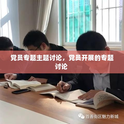 党员专题主题讨论，党员开展的专题讨论 