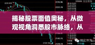 揭秘股票面值奥秘，从微观视角洞悉股市脉络，从0.01元起揭秘股市微观脉络