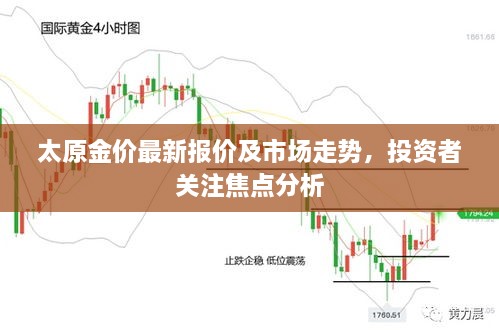 太原金价最新报价及市场走势，投资者关注焦点分析