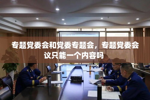 专题党委会和党委专题会，专题党委会议只能一个内容吗 