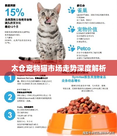 太仓宠物猫市场走势深度解析