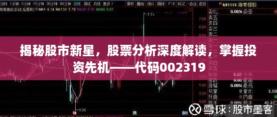 揭秘股市新星，股票分析深度解读，掌握投资先机——代码002319