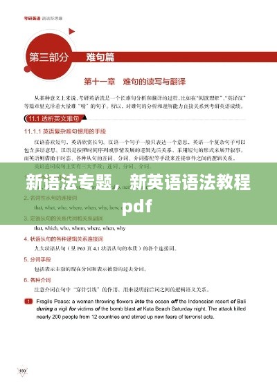 新语法专题，新英语语法教程pdf 