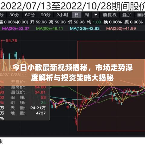 今日小散最新视频揭秘，市场走势深度解析与投资策略大揭秘