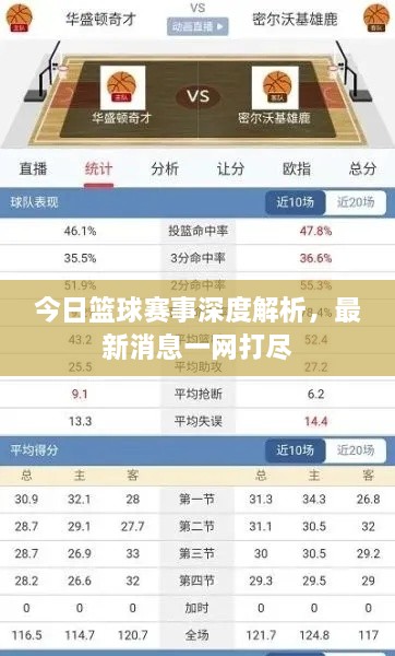 今日篮球赛事深度解析，最新消息一网打尽