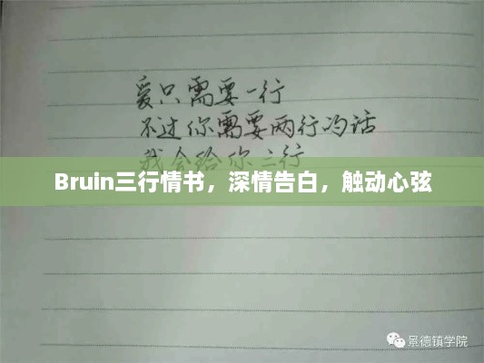 Bruin三行情书，深情告白，触动心弦