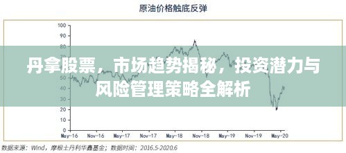 丹拿股票，市场趋势揭秘，投资潜力与风险管理策略全解析