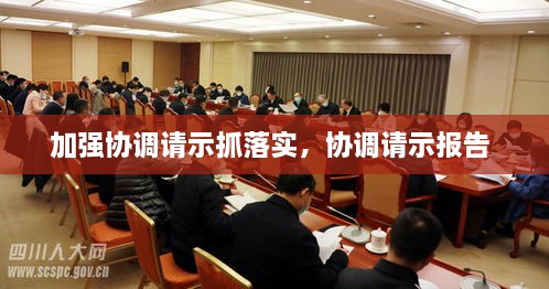 加强协调请示抓落实，协调请示报告 