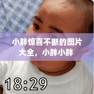 小胖惊喜不断的图片大全，小胖小胖 