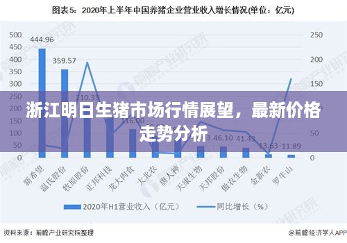 浙江明日生猪市场行情展望，最新价格走势分析