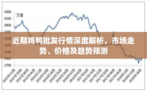 近期鸡鸭批发行情深度解析，市场走势、价格及趋势预测