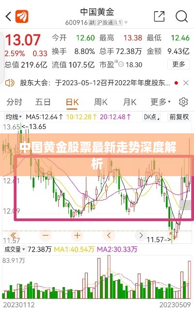 中国黄金股票最新走势深度解析