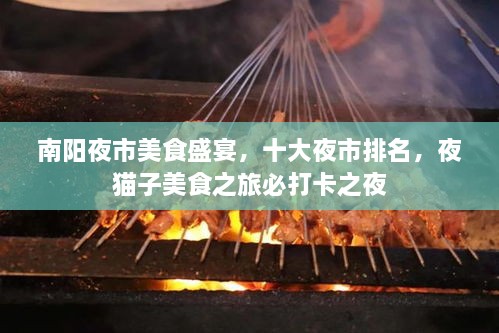 南阳夜市美食盛宴，十大夜市排名，夜猫子美食之旅必打卡之夜