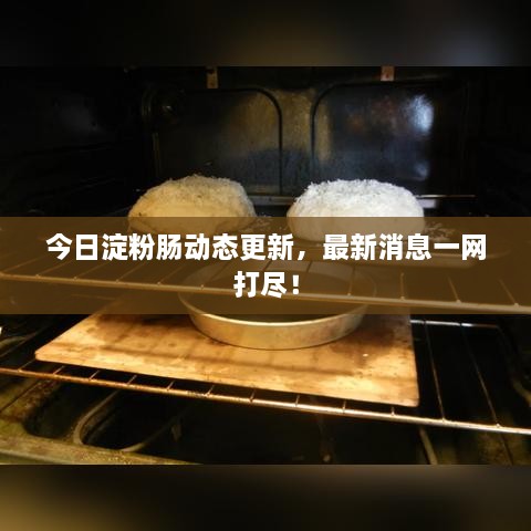 今日淀粉肠动态更新，最新消息一网打尽！