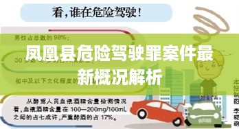 凤凰县危险驾驶罪案件最新概况解析