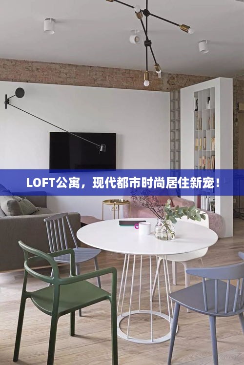 LOFT公寓，现代都市时尚居住新宠！