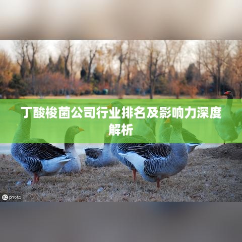 丁酸梭菌公司行业排名及影响力深度解析