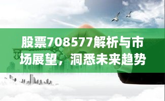 股票708577解析与市场展望，洞悉未来趋势，把握投资先机！