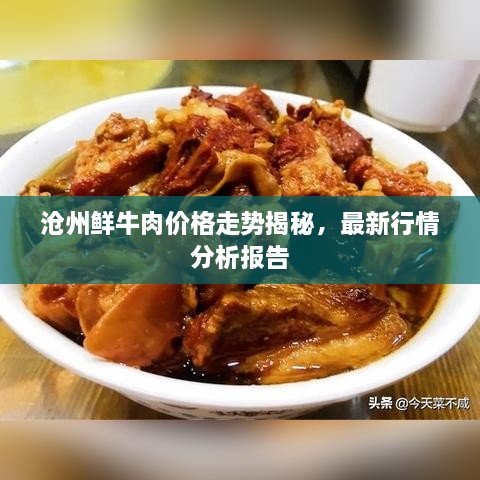 沧州鲜牛肉价格走势揭秘，最新行情分析报告